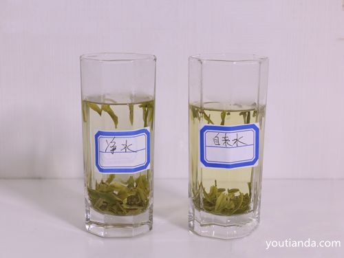 白茶茶湯對比